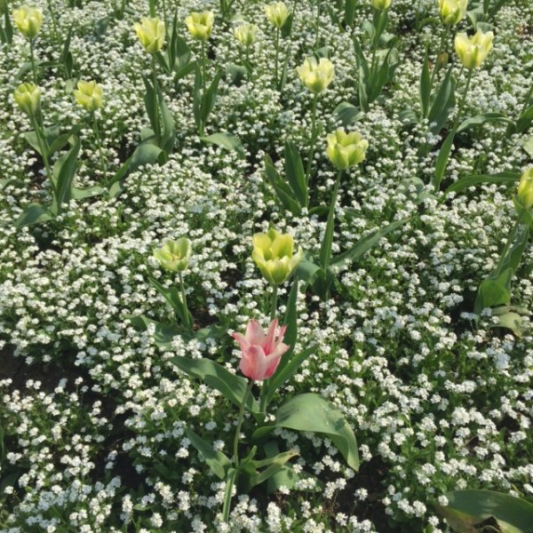 5 easy steps to unlock the power of SEO for your unique small&nbsp;business