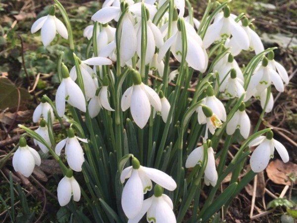 7 delectable perfumes which are good for&nbsp;winter