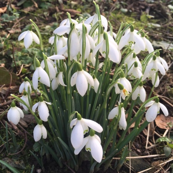 7 delectable perfumes which are good for&nbsp;winter