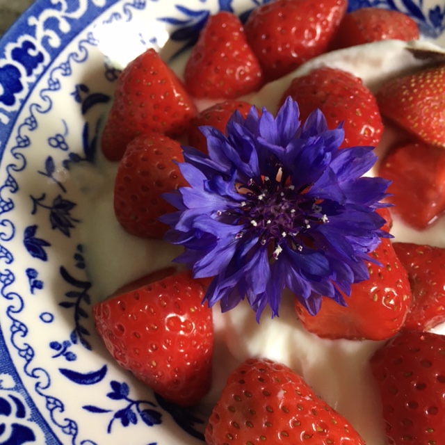 A bowl of strawberries and yoghurt, topped with a vivid violet cornflower.