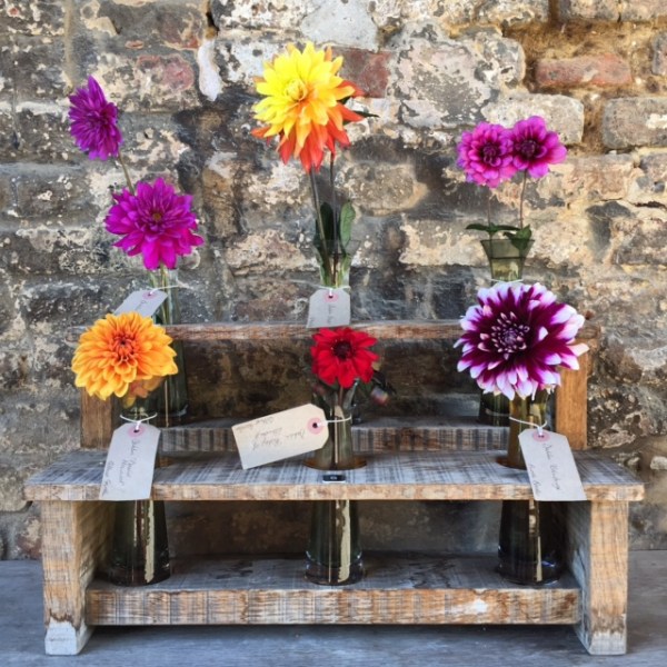 How to get the most out of your Garden&nbsp;Consultation