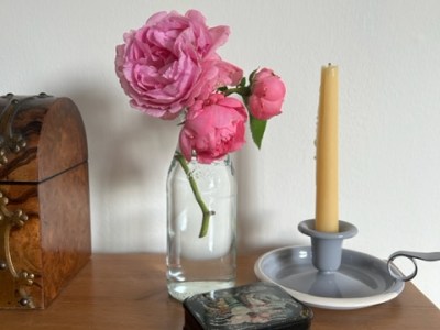 Best 21 low maintenance fragrant garden plants to create a scented&nbsp;sanctuary