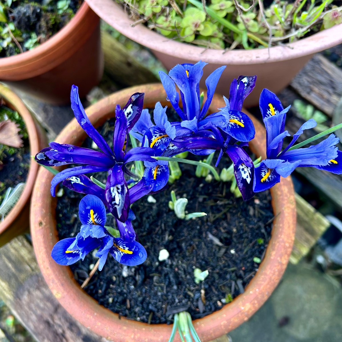 Searching for glimmers in…February