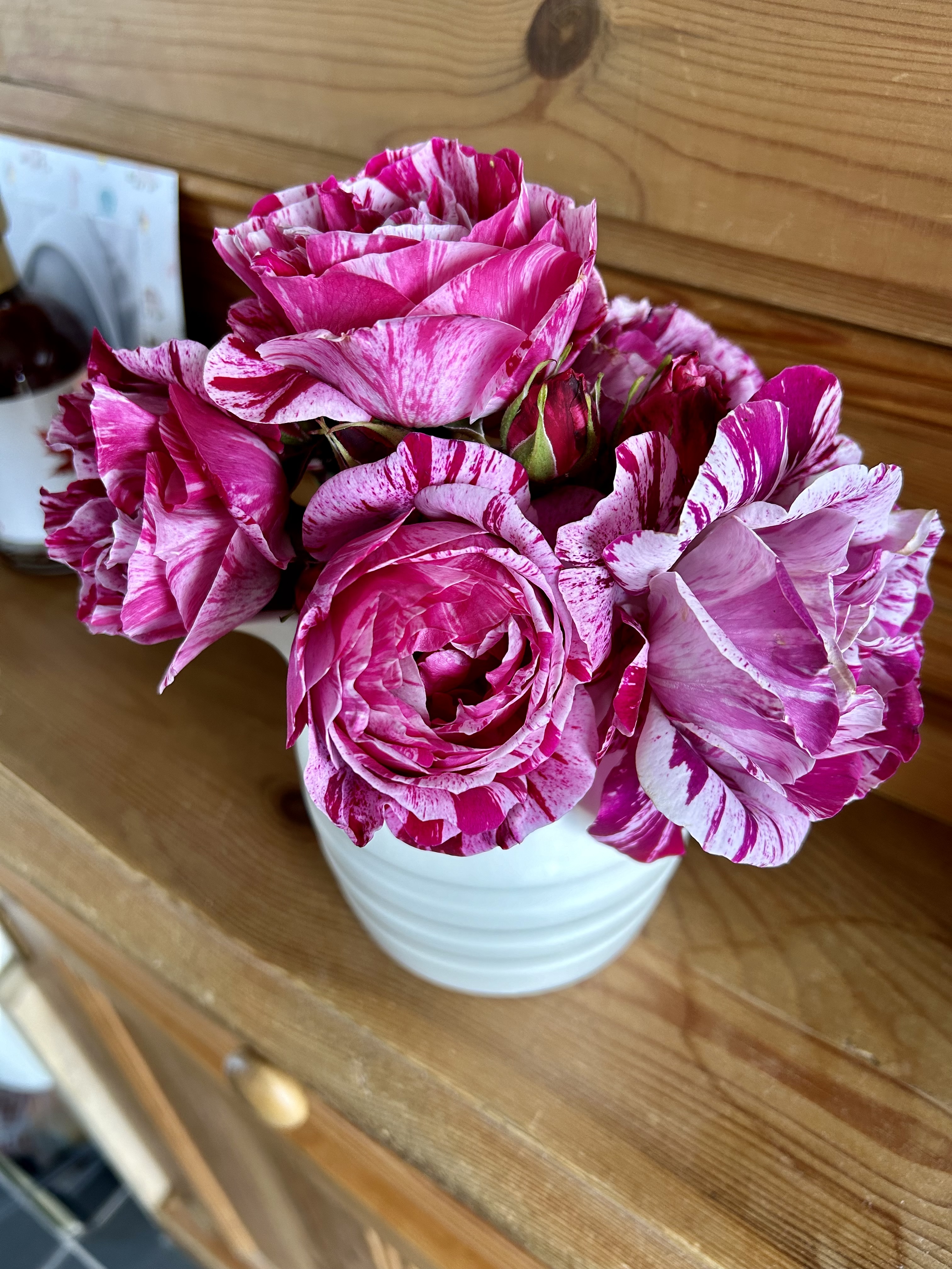 Rose Ferdinand Pichard in a white jug.