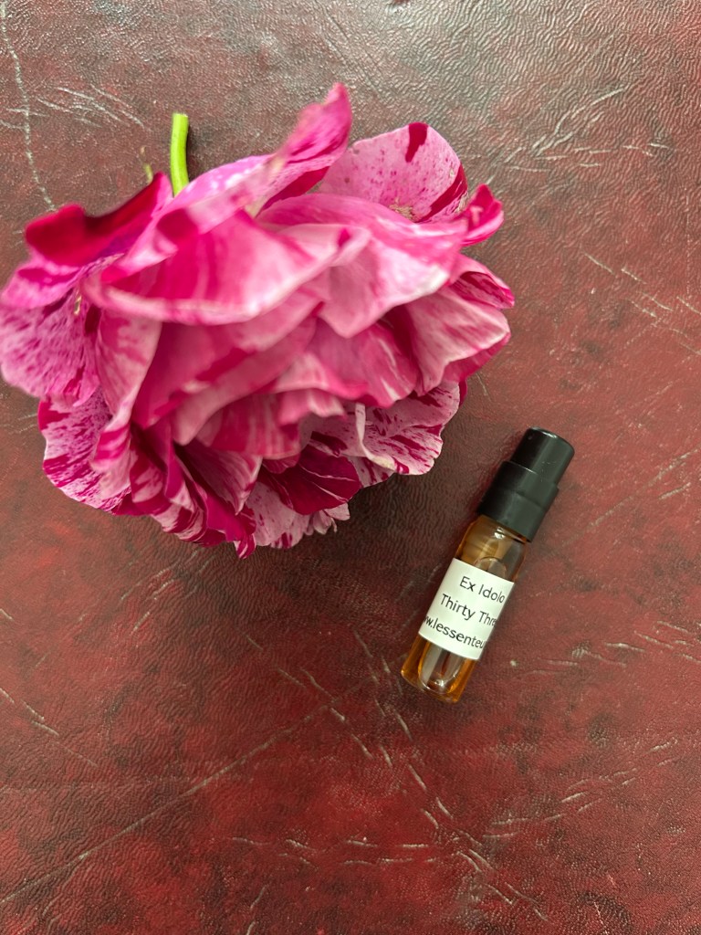 A glass vial of Thirty Three perfume by Ex Idolo is lying next to a raspberry pink and paler pink splashed rose on a dark red leather topped desk.
