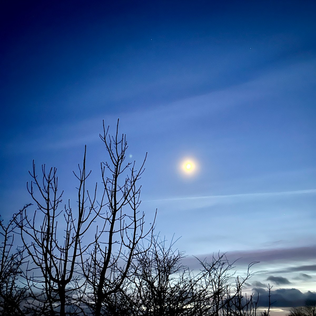 6 spirited scents for&nbsp;Samhain