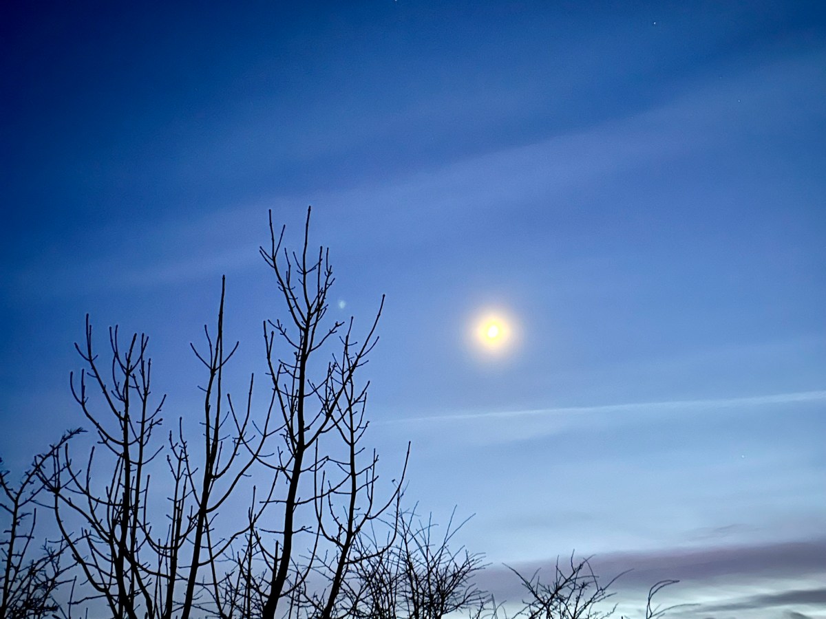 6 spirited scents for&nbsp;Samhain