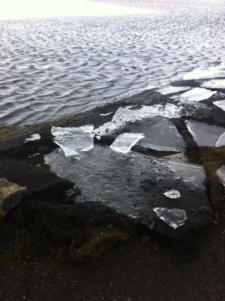 Ice fragments on the black sand beach at a lake called Laugarvatn in Iceland. The water is ruffled near the shore because it's warm, but the water is frozen in the centre of the lake.
