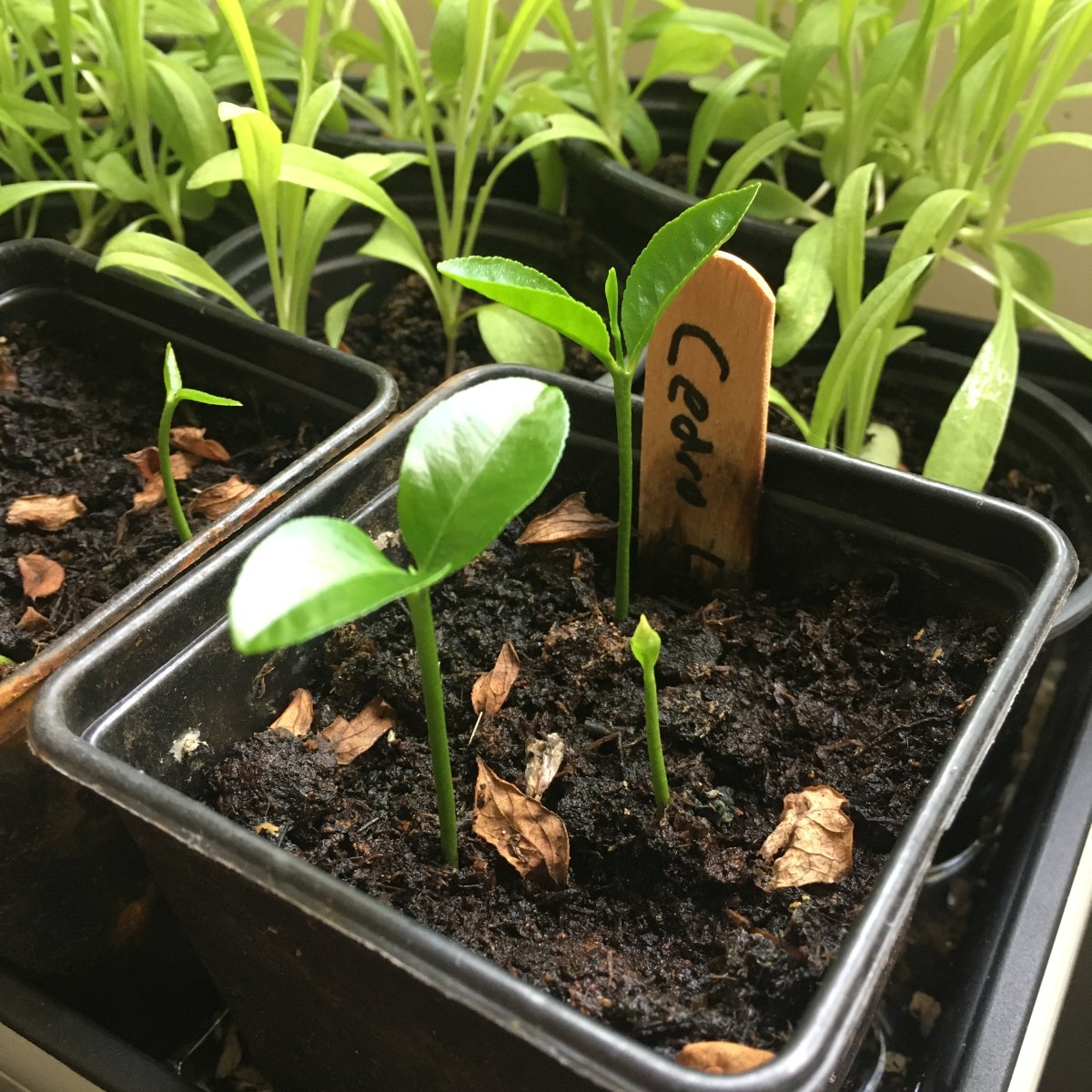 6 best earthy perfumes for when you need to feel&nbsp;grounded