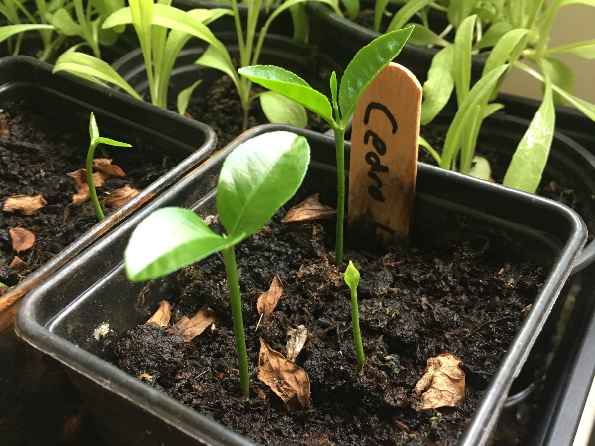 6 best earthy perfumes for when you need to feel&nbsp;grounded